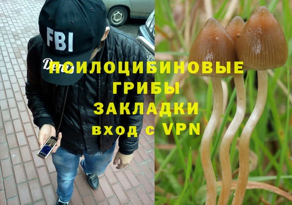 дурь Алзамай