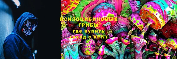 марки lsd Абаза